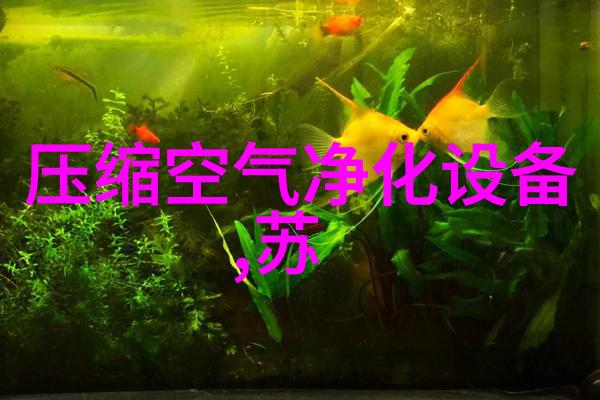 污水处理涡凹气浮设备